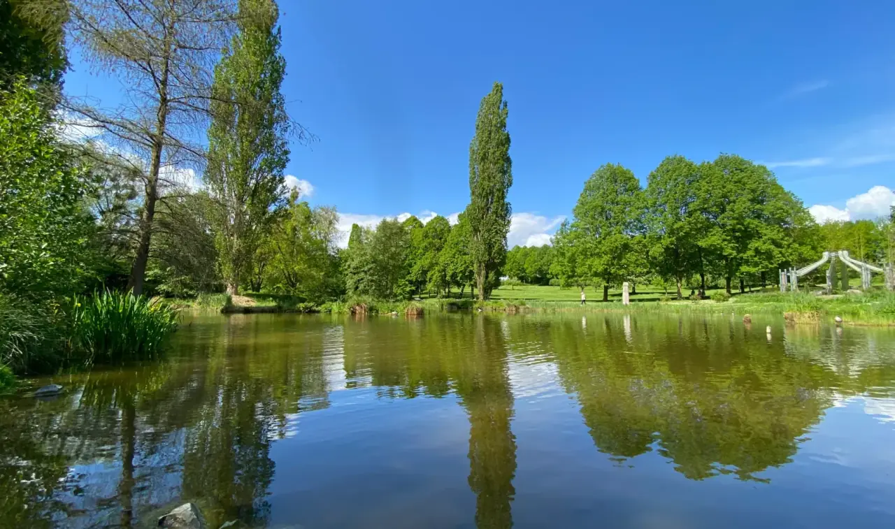 Grüner Ahnepark in Vellmar mit Teich und hohen Bäumen
